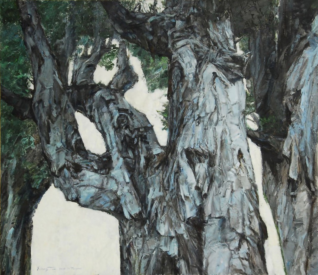 大树白千层 : 油画 : 卢象太.jpg